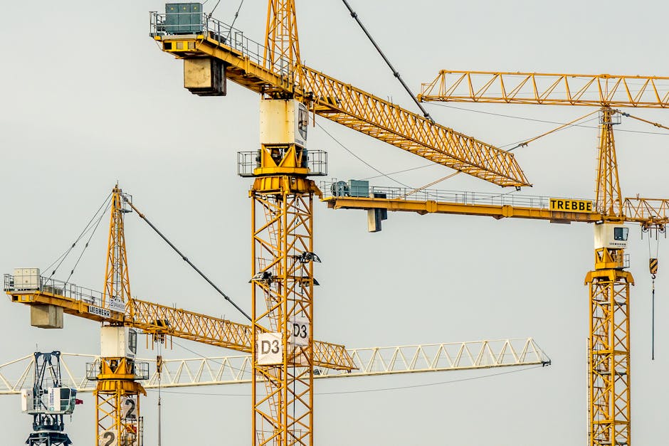 Exploring the Dynamics of the Construction Industry