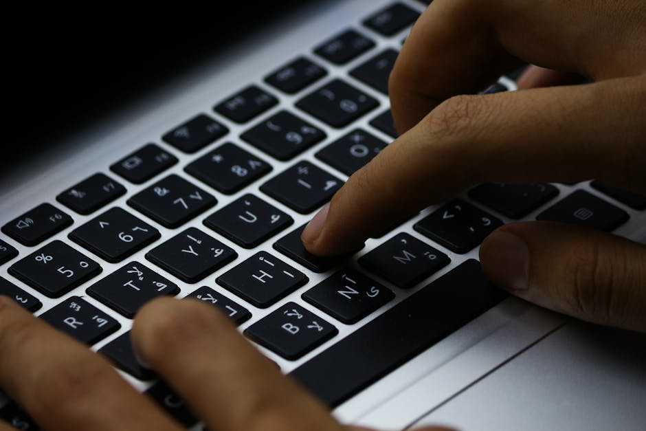 The Rise of Online Toto: A New Era in Betting