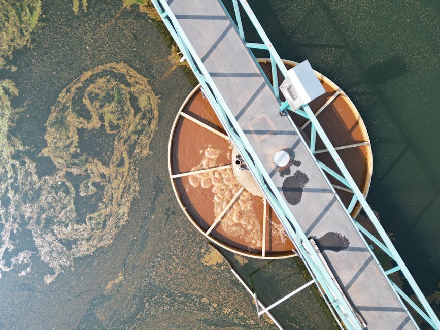 Essential Guide to Septic Tank Cleaning: What Every Homeowner Should Know