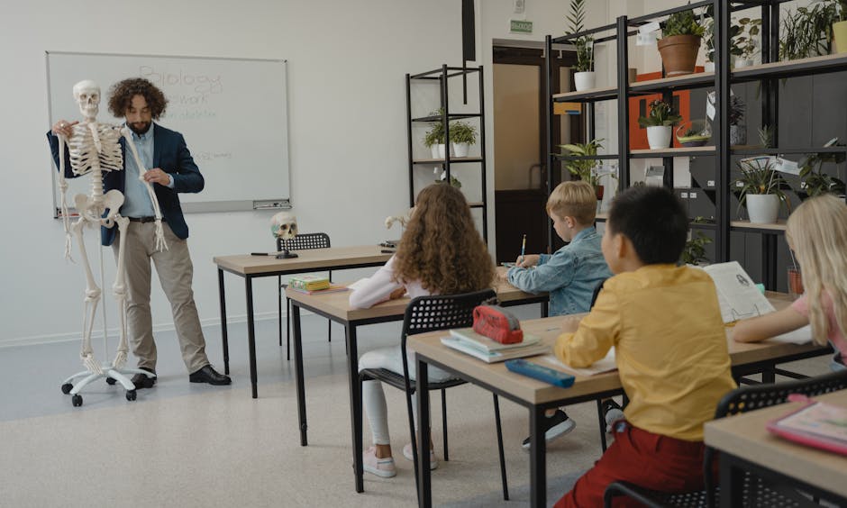 The Transformative Power of Education in Modern Society