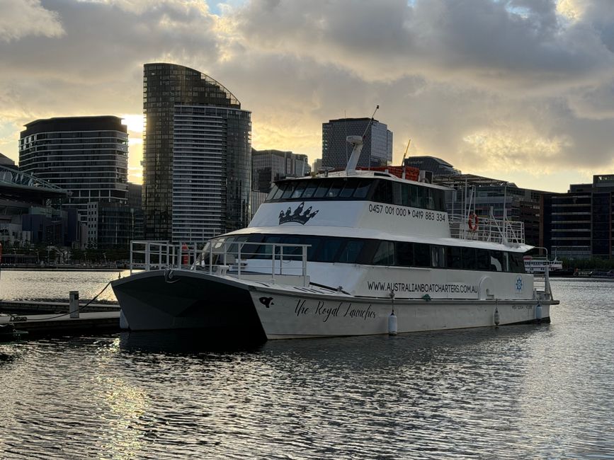 The Ultimate Guide to Fishing Charter Boats: Your Gateway to the Sea