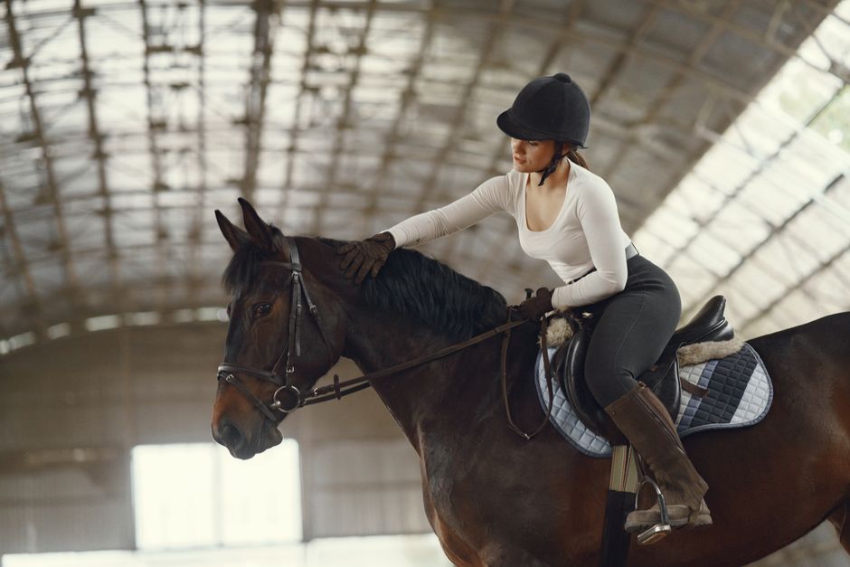 horse riding lessons