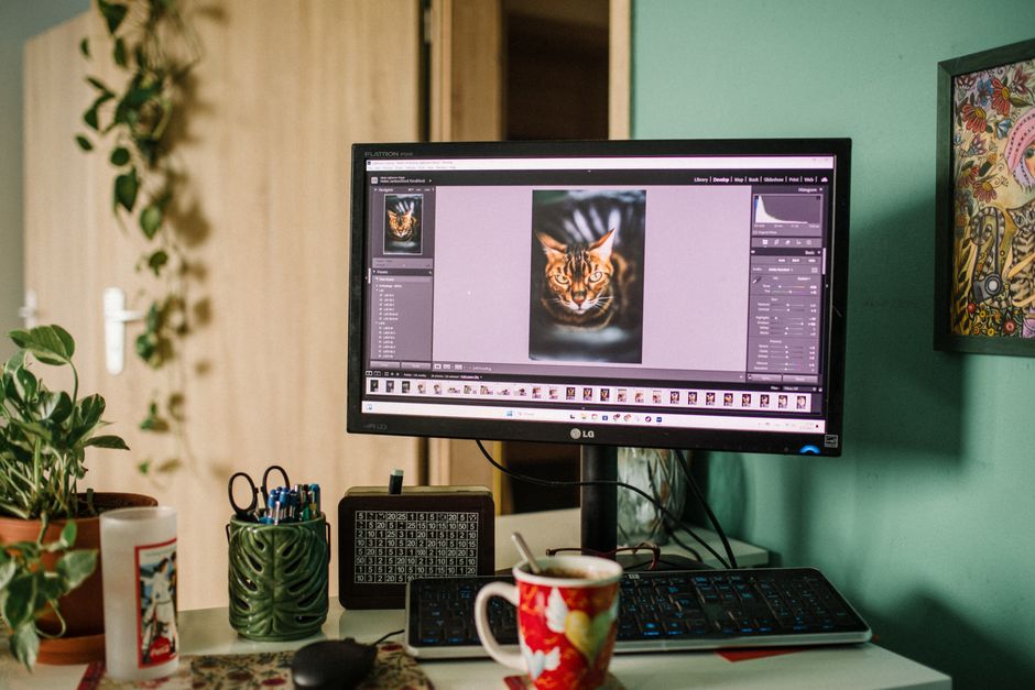 Unlocking the Benefits of Professional Photo Editing Services